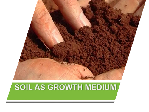 Soil as Growth Medium